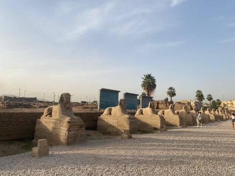Row of sphinxes with visitors walking beside them.