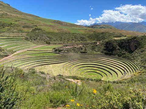 Concentric terraces in a valley setting.
