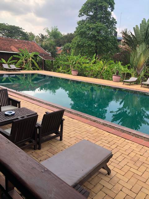 Swimming pool surrounded by greenery and deck chairs.