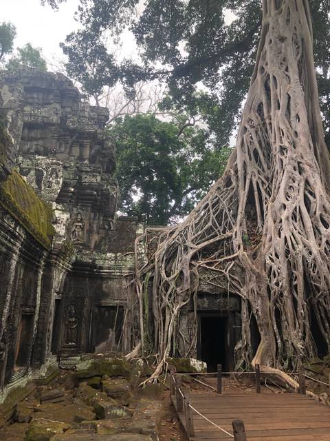 Ancient temple overgrown with tree roots.