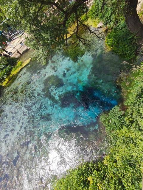 Vibrant blue spring with visible details of water plants.
