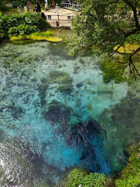       Aerial view of clear blue water with some vegetation.
  