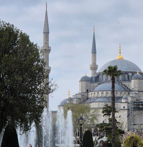 Blue Mosque partly obscured by trees.
