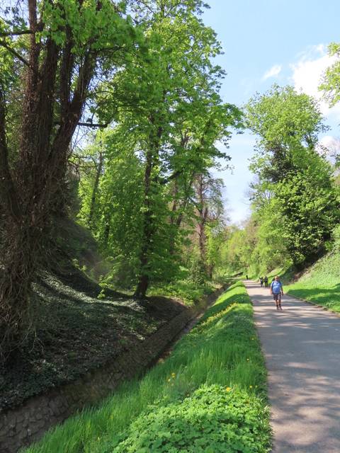 People walking along a lush green path.