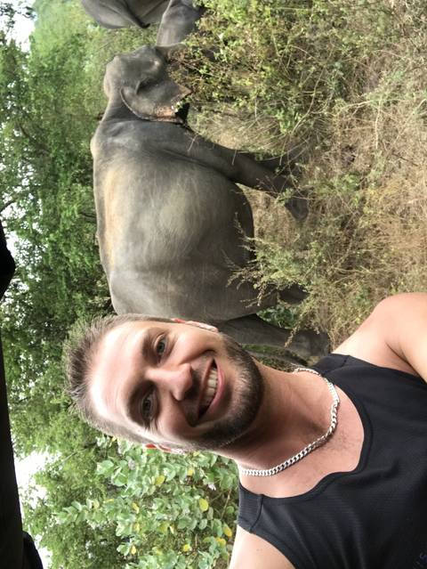       Person taking a selfie with elephants in the background.
  
