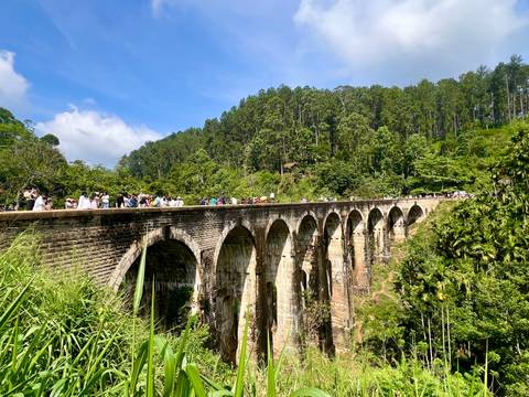       A famous arched railway bridge surrounded by lush greenery.
  