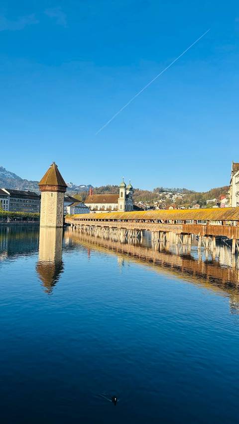       foto de reseña de cliente de Suiza en una semana (Zúrich, Interlaken y Lucerna) 
  