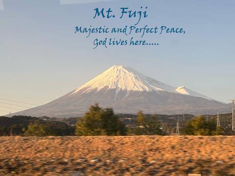       foto de reseña de cliente de Encantos de Japón en 7 días: Tokio, Monte Fuji y Kioto 
  