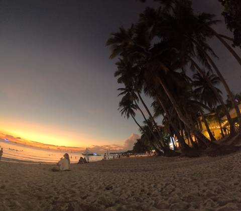 Palm trees by the beach during sunset.