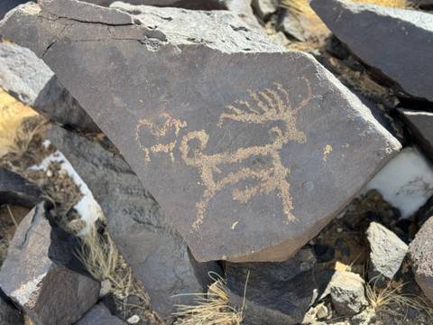       Rock with petroglyphs carved on it.
  
