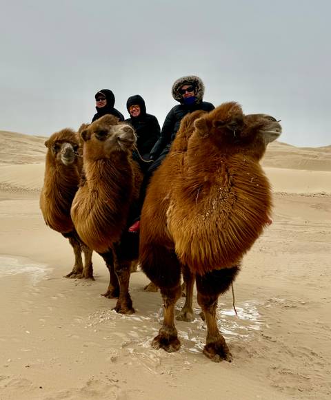       People riding camels in a desert.
  