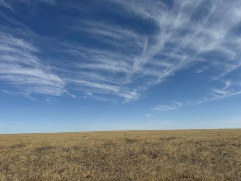       Flat grassland with wispy clouds overhead.
  