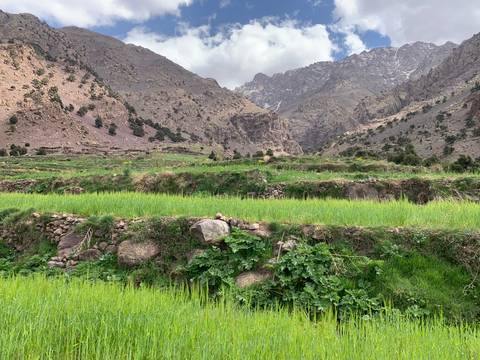       Terraced fields with mountains in the background.
  