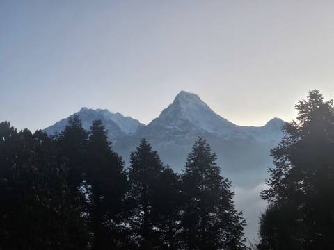       Peaks of a mountain range emerging above trees.
  