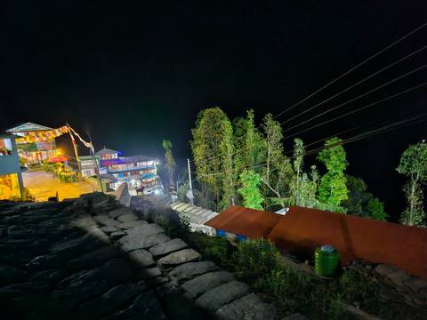       Hillside view with lit buildings and trees at night.
  