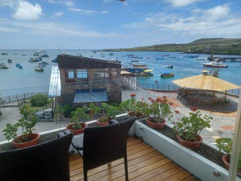 Scenic view of a harbor with boats and a gazebo.