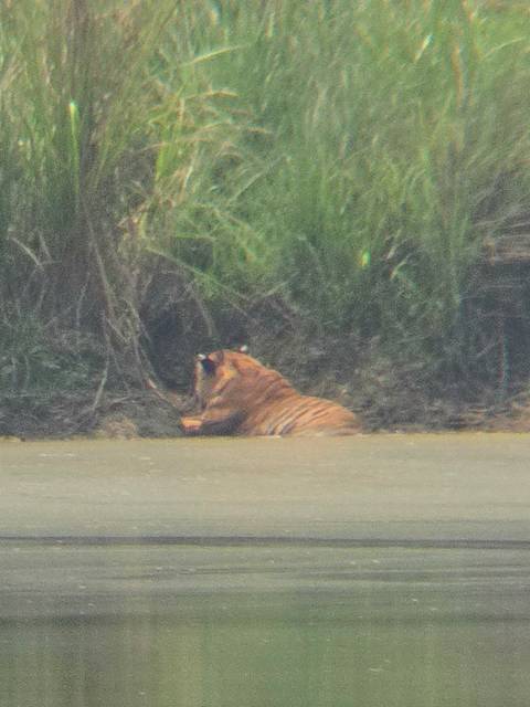       foto de reseña de cliente de Explora Nepal 
  