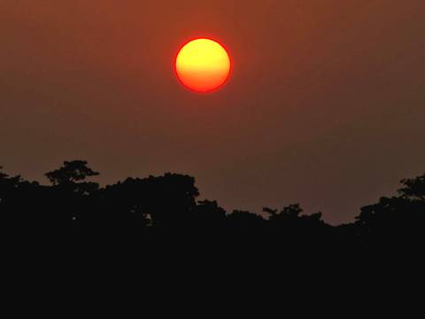       Sunset over silhouettes of trees.
  