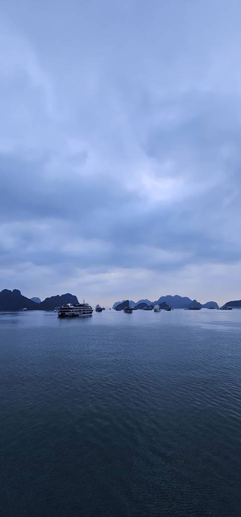       A scenic view of Halong Bay with multiple boats and karst formations under a cloudy sky.
  
