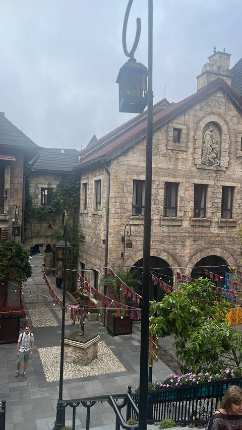 Stone buildings with ivy and european style architecture.