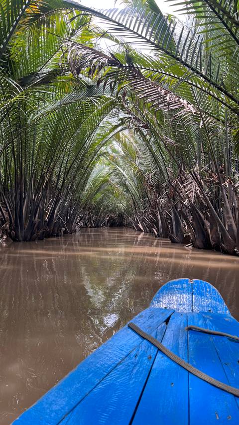       Narrow waterway surrounded by lush palm trees.
  