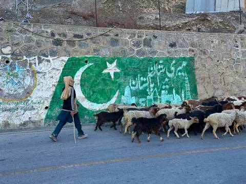 Person walking with livestock in front of a painted wall.