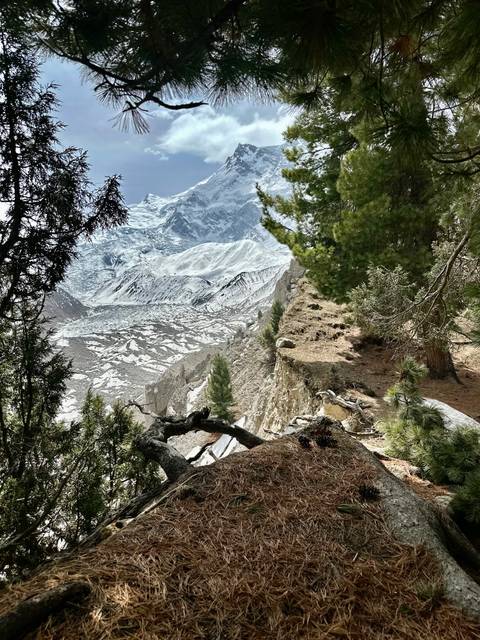 Snowy mountain peak with pine trees and rugged terrain.