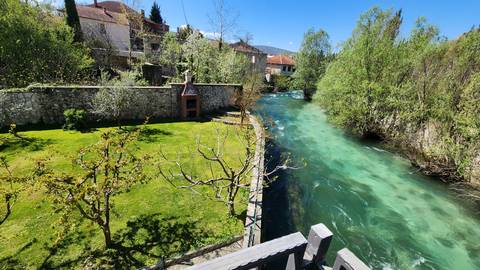 A clear river running alongside a garden with trees and houses.