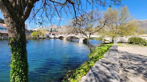       A scenic view of a stone bridge over a river with trees and buildings.
  