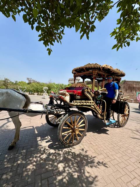       Man posing with a decorative horse-drawn carriage.
  
