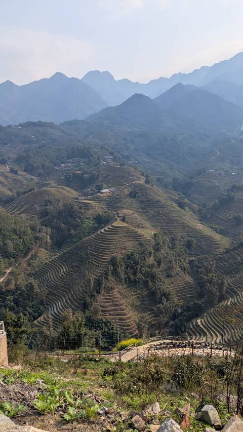       Terraced fields on a hillside under a clear sky.
  