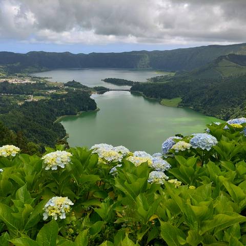       Lake surrounded by greenery and hydrangeas
  