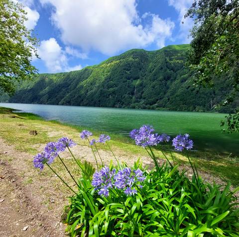       Green lake with flowers in the foreground
  