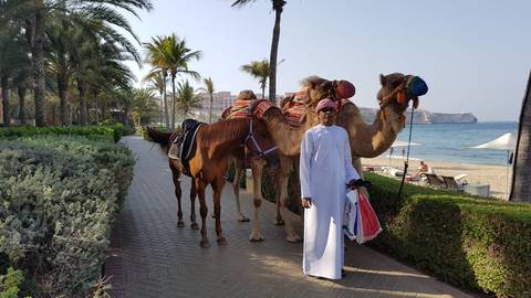 Man with camels and horse at a beachside.