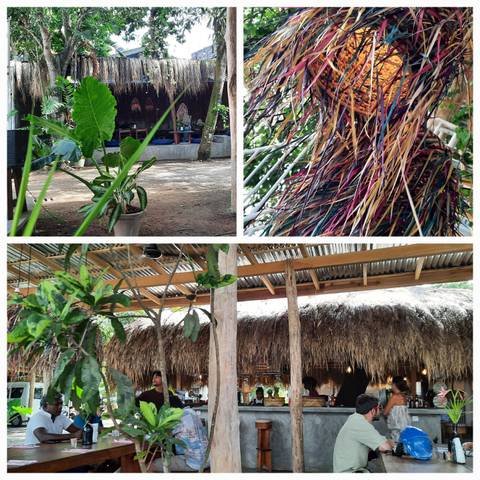 Collage of tropical plants and a thatched roof structure.