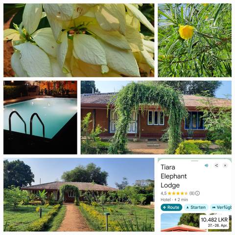       Collage of a pool, garden, and other outdoor premises.
  