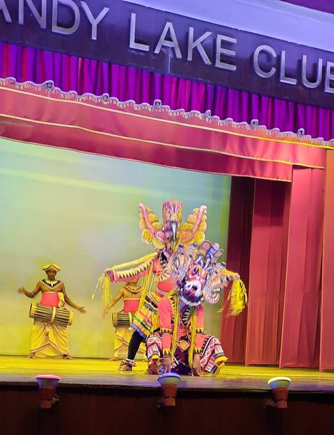       Colorful performance with dancers in traditional attire.
  