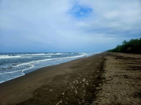 Long stretch of sandy beach with waves.