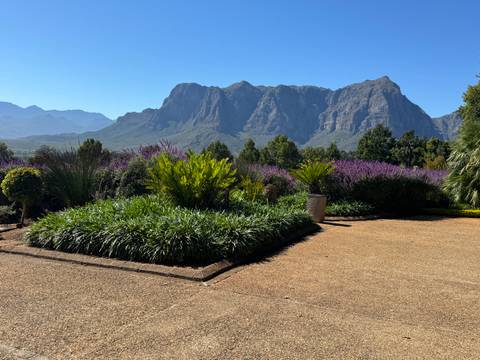 Landscape view with a garden and mountains in the distance.