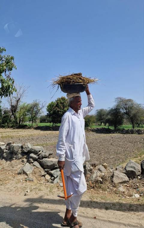 Klantbeoordelingsfoto van De essentie van India - met bezoek aan Varanasi - incl. privéauto & vlucht 