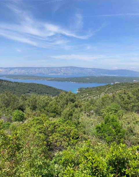       Wide view of a sea inlet surrounded by hills.
  
