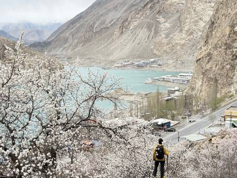       Person exploring a mountainous area bordered by blooming trees.
  