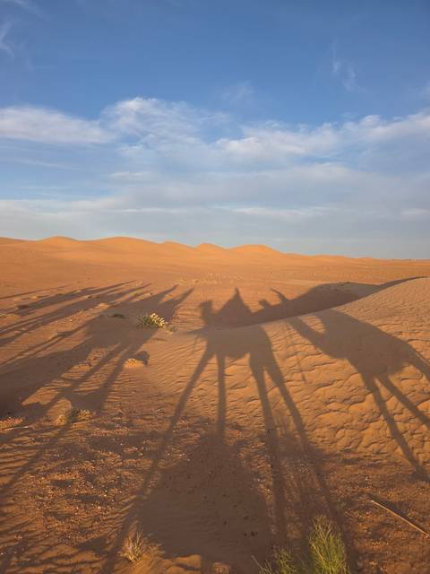      Silhouettes of camels and people walking on sand dunes.
  