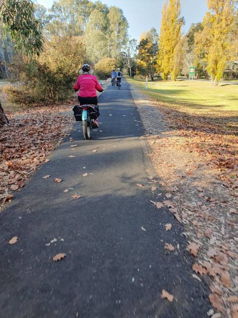 Person cycling on a leafy path.