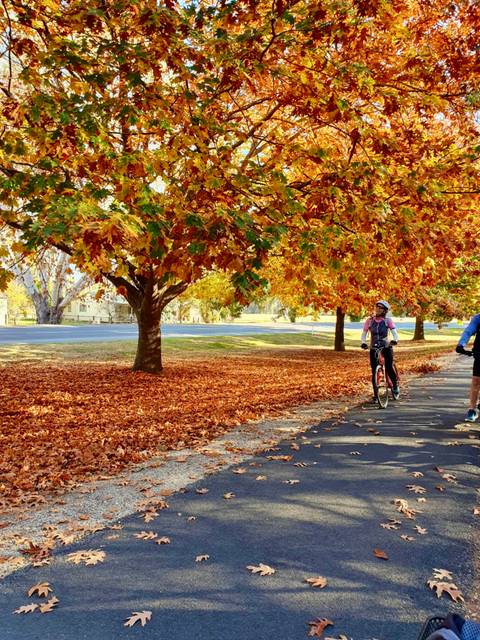       People cycling on a path surrounded by autumn leaves.
  