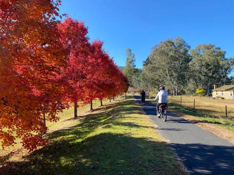       Cyclists on a scenic path with vibrant red trees.
  