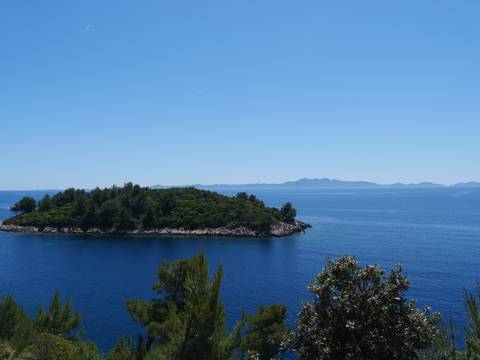Isolated small island with lush greenery in the sea.