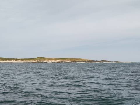       Coastal landscape with rocky shores and calm waters.
  