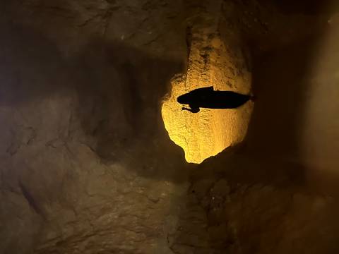 Cave entrance with light and shadow contrast.