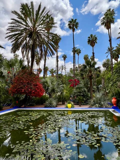 Lush garden with exotic plants and colorful pots.